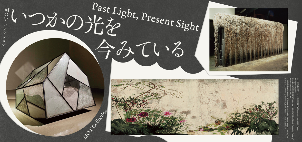 MOT Collection: Past Light, Present Sight